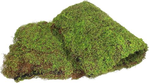 FAICOIA Artificial Fake Moss for Decorating Crafts 39" x 39" Faux Moss for Plants Indoor Dark Green Faux Grass for Planters Crafts DIY Table Centerpieces Fairy Garden Floral Wedding 100 x 100cm in Saudi Arabia