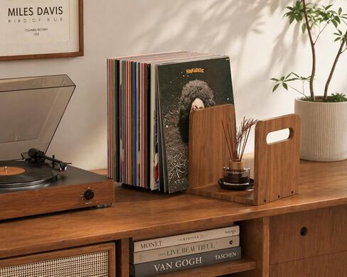 Wooden Vinyl Record Storage with Adjustable Divider, Magazine Holder Desktop Bookshelf Vinyl Record Storage Rack, Holds up to 80-100 LPs, Minimalistic Design for Files Books Magazines Record Rack in Kuwait