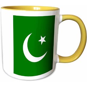 3dRose Flag of Pakistan Mug, 11 oz, Black