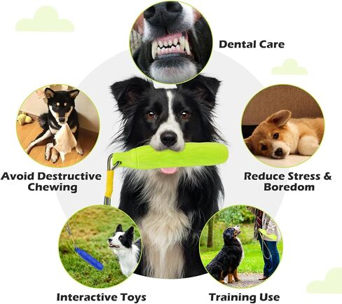 EXPAWLORER Floating Dog Toys - 2 Pack Fetch Stick Chase Toy with Nylon Rope, Durable Non-Toxic Interactive Chew Toy for Training Outdoor Activities, Summer Pool Float Toys for All Breeds Dogs in Saudi Arabia
