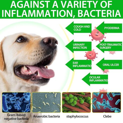 Dog Antibiotics- Strengthen Immune System - Nature Antibiotics for Dogs Skin, UTI, Allergy Cough Infection Treatment - Dog Multivitamin-2 Fl Oz in Kuwait