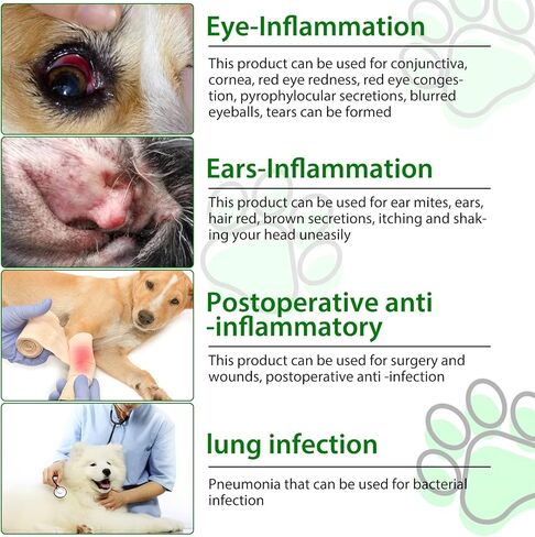 Dog Antibiotics- Strengthen Immune System - Nature Antibiotics for Dogs Skin, UTI, Allergy Cough Infection Treatment - Dog Multivitamin-2 Fl Oz in Kuwait