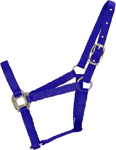 Hamilton 3/4-Inch Nylon Quality Horse Halter, Pony or Average Miniature Donkey, Blue in Saudi Arabia
