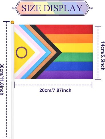 20 Pieces 5 x 8 Inches Small Intersex Inclusive Progress Pride Flag Sticks - Handheld Progress Pride Flags, Mini LGBTQ Rainbow Gay Flag for Outdoor LGBT Parades, Rainbow Pride Month Party Decorations in Kuwait