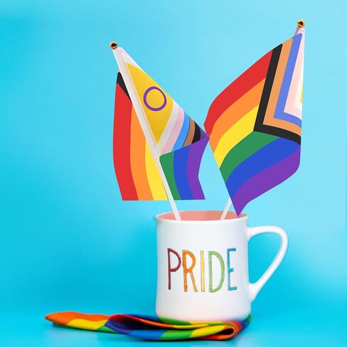 20 Pieces 5 x 8 Inches Small Intersex Inclusive Progress Pride Flag Sticks - Handheld Progress Pride Flags, Mini LGBTQ Rainbow Gay Flag for Outdoor LGBT Parades, Rainbow Pride Month Party Decorations in Kuwait