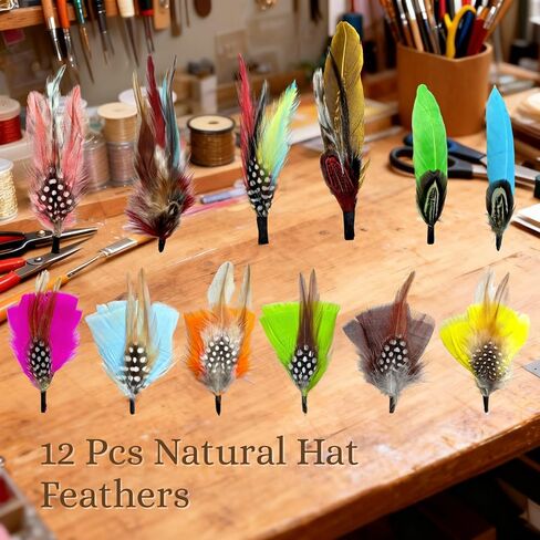 12 Pcs Natural Hat Feathers, Craft Feathers, Feathers for Crafting, Assorted Color Accessories for Men Women Fedora, Cowboy Hats, Trilby Hats, Brooches, Table Decor & DIY Projects in Kuwait