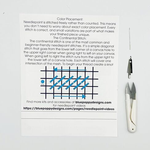 Blue Poppy Designs Toucan Needlepoint Kit in Kuwait