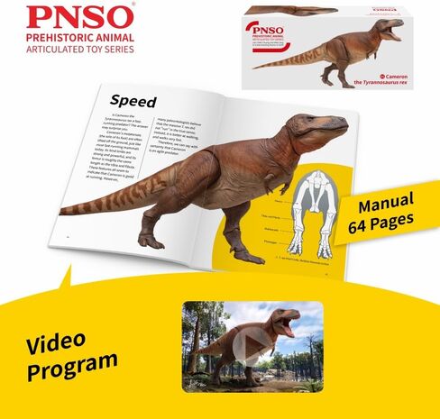 سلسلة ألعاب مفصلية لحيوانات ما قبل التاريخ من PNSO: 01 شخصية كاميرون تيرانوصور ريكس in Kuwait