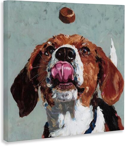 Stupell Industries 'Beagle Treat Excitement', Canvas Art, 30 x 30 Inches, Easy to Hang and Sturdy, Made in USA, by Studio Bautista in Kuwait