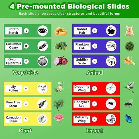 1600x Handheld Microscope for Kids,Digital Microscope with 2Inch IPS Screen, Portable Kids Microscope for Outdoor STEM Science Experiments, for Girls Boys Child in Kuwait
