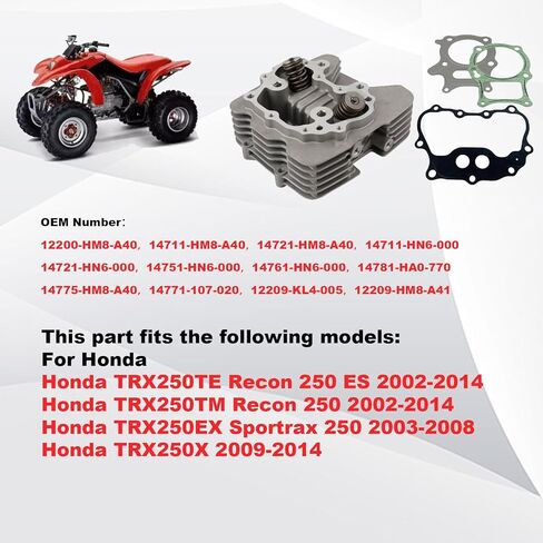 مجموعة رأس الأسطوانة TRX250 متوافقة مع Honda Recon 250 TRX250 X TE 2x4 ES 2002-2014 in Kuwait