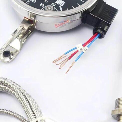 WTZK-02 Thermometer Controller Oil Temperature Gauge BWY Stainless Steel Cover Blue Mountain in Kuwait