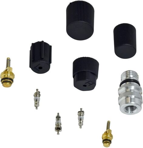 Replacement part A/C System Core And Cap Kit 1994 For Dodge B150 R2DT-s18014 in Kuwait