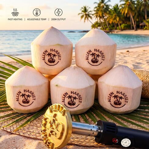 Dinceer Custom Electric Branding Iron for Wood, Leather, Food & DIY - Personalized Logo Stamp with Adjustable Temperature, Fast Heating Brass Tool, Temperature Controlled Metal Stamp Wood Burning Tool in Kuwait