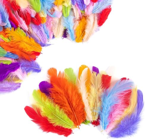 Airwhisp Rooster Feathers for Crafting - 300pcs Colorful Craft Feathers 3-5 Inches Bulk Feathers for DIY Crafts, Wedding Party Decoration, Dream Catcher Supplies (Colorful Feathers) in Kuwait