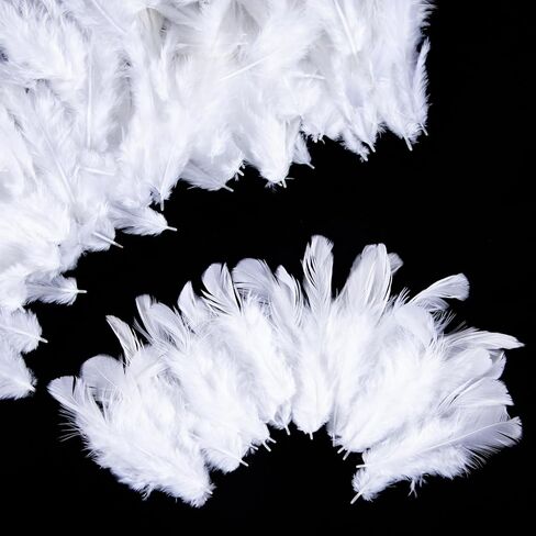 Airwhisp Rooster Feathers for Crafting - 300pcs Colorful Craft Feathers 3-5 Inches Bulk Feathers for DIY Crafts, Wedding Party Decoration, Dream Catcher Supplies (Colorful Feathers) in Saudi Arabia