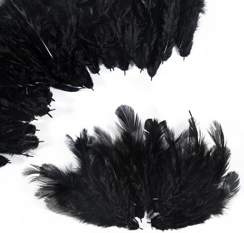 Airwhisp Rooster Feathers for Crafting - 300pcs Colorful Craft Feathers 3-5 Inches Bulk Feathers for DIY Crafts, Wedding Party Decoration, Dream Catcher Supplies (Colorful Feathers) in Saudi Arabia