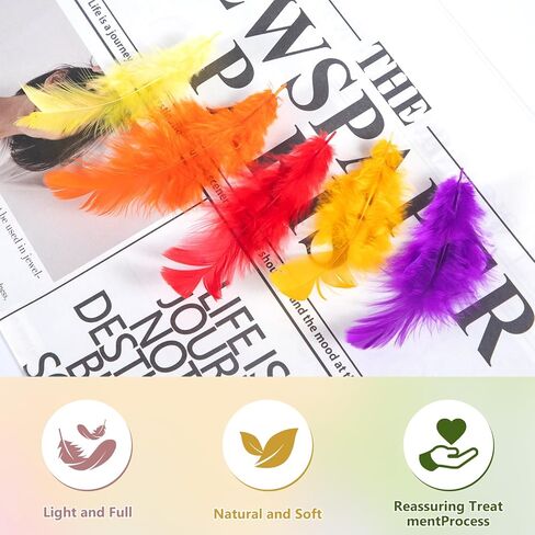 Airwhisp Rooster Feathers for Crafting - 300pcs Colorful Craft Feathers 3-5 Inches Bulk Feathers for DIY Crafts, Wedding Party Decoration, Dream Catcher Supplies (Colorful Feathers) in Saudi Arabia