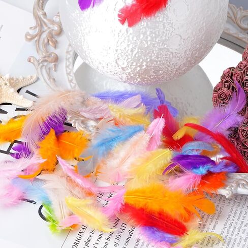 Airwhisp Rooster Feathers for Crafting - 300pcs Colorful Craft Feathers 3-5 Inches Bulk Feathers for DIY Crafts, Wedding Party Decoration, Dream Catcher Supplies (Colorful Feathers) in Saudi Arabia