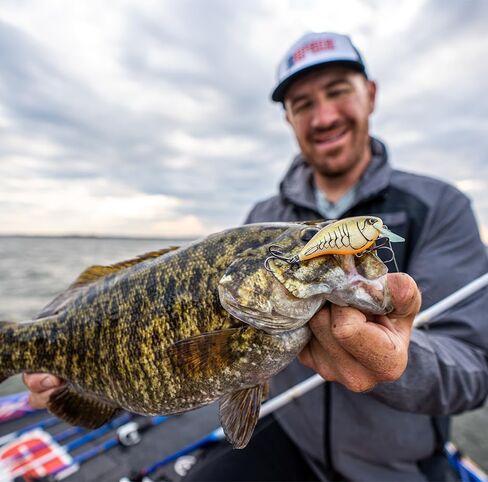 Rapala Ott's Garage Rocco 05 Tuxedo Shad in Saudi Arabia