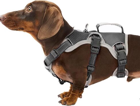 Escape Proof Dog Harness, Escape Artist Harness, Reflective Dog Harness with Handle, Durable,Adjustable Vest for Small Medium Large Dogs Walking, Training, and Running Gear(Black, L) in Saudi Arabia