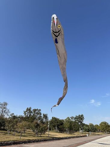 61FT Large Silver Soft Parafoil Beltfish Kite with Reel Perfect Beach Outdoor Activity Gift-Ages 12+ in Kuwait