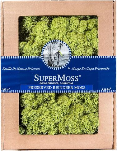 SuperMoss (21401) طحلب الرنة - طحالب ناعمة محفوظة لديكور المنزل، والحرف اليدوية، ومرابي حيوانات، وتصميم الأزهار، وديكورات الزفاف، 80.75 متر مكعب، أسود لامع in Kuwait