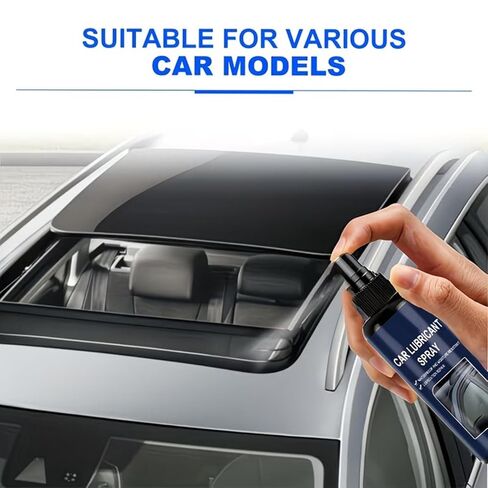 Window Track Glass Lifting Agent Rubber Strips Seal Softening Agent 100ml Car Window Lubricants Sprayer with Tow Long Lasting Durability in Kuwait