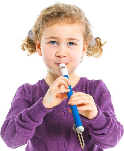2 Pack Slide Whistle Instrument for Adults Kids Slide Whistle Music Party Favors for Parent Child Games Boy Girl Bag Stuffer School Prize in Kuwait