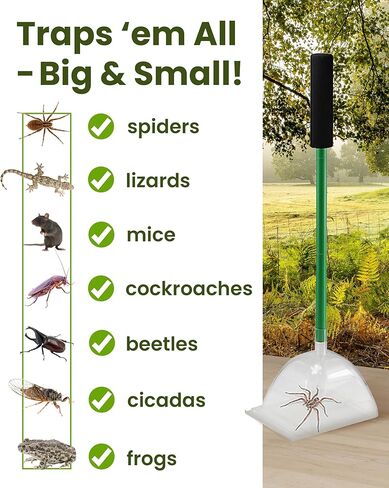 Katcha Acrylic Humane Bug Catcher - 25" Long Spider Catcher and Release Tool with Large Plastic Container, Versatile Insect and Bug Grabber Tool for Lizards, Roach, Cicadas, Spiders, and Frogs in Kuwait