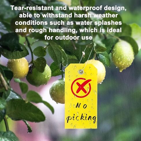 100pcs Plastic Tags with Wires - CARGEN Waterproof Shipping Tags with Wire Ties Blank Waterproof Tag for Outdoors Writeable Tag Palstic (4 3/4 x 2 3/8, Yellow) in Kuwait