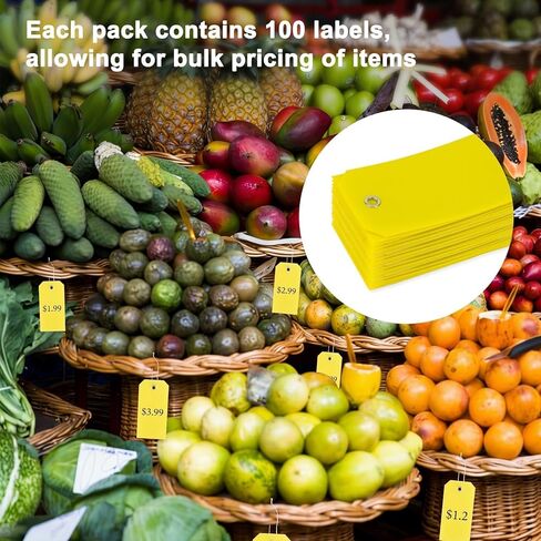 100pcs Plastic Tags with Wires - CARGEN Waterproof Shipping Tags with Wire Ties Blank Waterproof Tag for Outdoors Writeable Tag Palstic (4 3/4 x 2 3/8, Yellow) in Kuwait