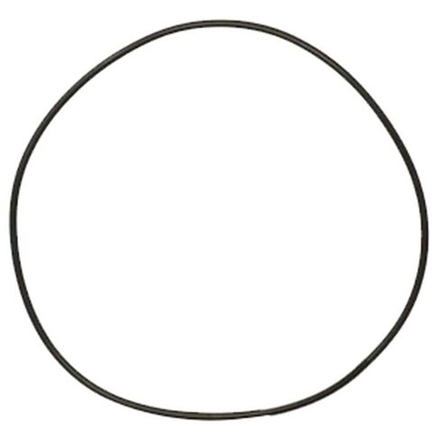 WN-86504449 Housing O-Ring Fits Ford/New Holland L140 L150 L160 L170 L175 L180 L185 L190 L465 L565 L865 LS140 LS150 LS160 LS170 LS180 LS180.B LS185.B LS190 LS190.B LX465 LX485 LX565 LX665 LX865 LX885 in Kuwait