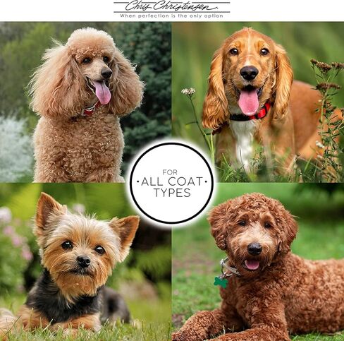 Chris Christensen White Ice Chalk, Dog Cosmetics, Groom Like a Professional, Natural Look, Made in The USA, 22oz in Saudi Arabia