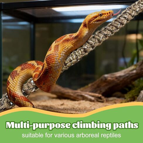 2 Pcs Snake Climbing Accessories, Reptile & Snake Climbing Ring Set with Suction Cups, Enrichment Toy for Ball Python, Corn Snake, Bearded Dragon, Lizard Tank Accessories in Kuwait