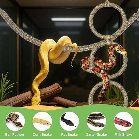 2 Pcs Snake Climbing Accessories, Reptile & Snake Climbing Ring Set with Suction Cups, Enrichment Toy for Ball Python, Corn Snake, Bearded Dragon, Lizard Tank Accessories in Kuwait