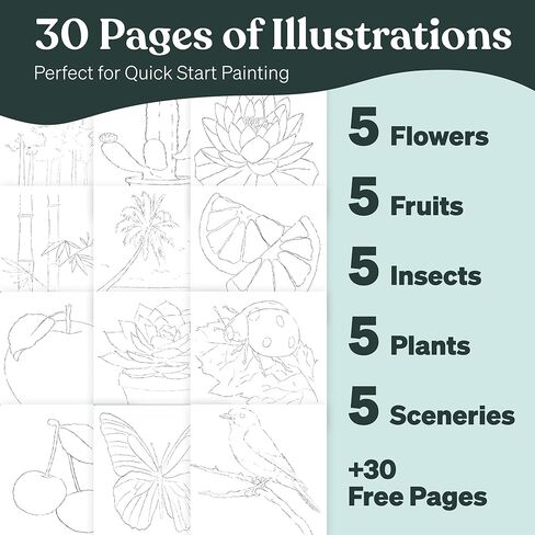 Tobio’s Watercolor Workbook for Beginners – Sketch Book with Premium Watercolor Paper, Small Notebook Style Practice Pad, Guided Art Lessons & Relaxing Coloring Book in Kuwait