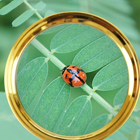 عدسة مكبرة محمولة مطلية بالذهب من VILLCASE مقاس 7.08 بوصة، عدسة مكبرة ذات مقبض طويل لقراءة المجوهرات والحرف الإلكترونية والأعمال التفصيلية للبالغين وكبار السن in Kuwait