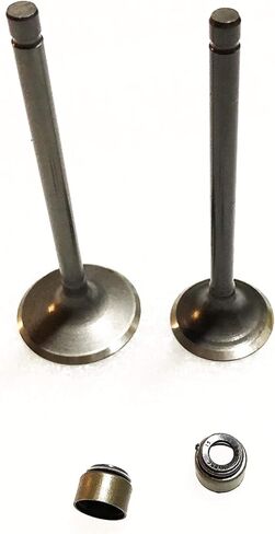 Engine Intake Exhaust Valve and Seal Fit YTM200 YFM200 XT200 BW200 TW200 TTR230 in Kuwait