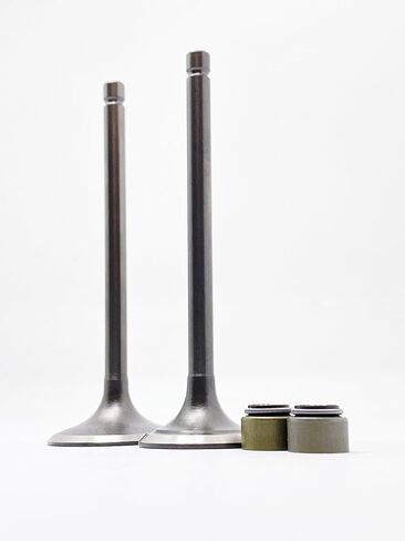 Engine Intake Exhaust Valve and Seal Fit YTM200 YFM200 XT200 BW200 TW200 TTR230 in Kuwait