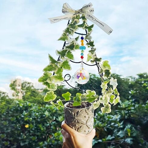 مجموعة أسلاك ألومنيوم حرفية مقاس 9 قياس/3 مم من SNAIL GARDEN مع أدوات التقاط أشعة الشمس الكريستالية، ومشابك وزردية نباتات الفراشة، سلك ألومنيوم 65.6 قدم (20 مترًا) للحرف اليدوية تعريشة نباتية، وصناعة المجوهرات (ذهبي وأسود) in Kuwait