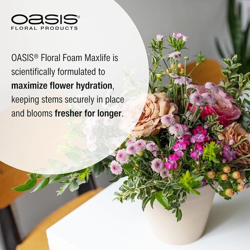 OASIS® Floral Foam, Instant Deluxe Brick – Green, Fast Soaking Heavy Density Floral Foam for Fresh Flowers – Professional Florist Grade – 48 Brick Case in Kuwait