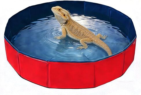 Foldable Pet Bath Pool, Collapsible Dog Bath Tub for Large & Small Dogs, Cats, Bearded Dragon, Portable Outdoor Swimming Pool for Camping, Washing Vegetables (Small Animal - Blue) in Saudi Arabia