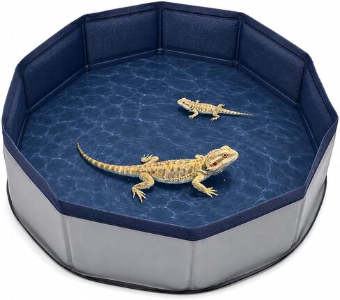 Eooqi Foldable Bearded Dragon Bathtub, Collapsible Reptile Bath Pool & Small Pet Water Tub, Portable Hard-Side Reptile Swimming Pool for Bearded Dragons, Hedgehogs and Hamsters (Blue, 19 x 3.5 in) in Kuwait
