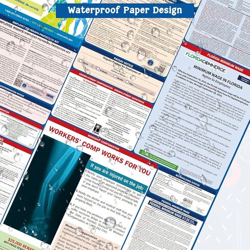 PUNCHMAN 2pcs 2026 Florida State & Federal Workplace Labor Poster - Bilingual English/Spanish 2 Version Guidelines Posting for Workplace, Durable Laminated, Includes 2026 Minimum Wage Info in Kuwait