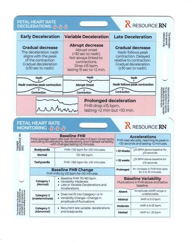 Fetal Monitoring Badge Card for Nurses – Badge Buddy Pocket Reference for Labor & Delivery, EFM FHR Baseline, Variability, Accelerations & Decelerations, OB Nurse, Horizontal & Vertical Compatible in Kuwait