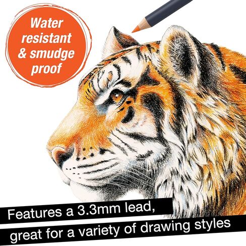 أقلام تلوين Faber-Castell Goldfaber: أقلام ملونة احترافية ذات وضع ناعم، وصبغة غنية، ونوى مقاومة للكسر، رائعة للمبتدئين والهواة والتلوين للبالغين (24 قطعة) in Kuwait