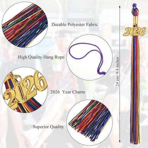 Yaomiao 14 Pieces 2026 Year Charm Graduation Tassel Academic Graduation Hat Tassel with Decoration for Graduates Ceremonies Parties Accessories(Rainbow) in Kuwait