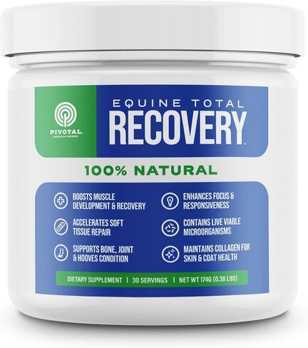 Power+ Horse Supplement (174g/0.38lbs - 30 Servings) - 9 Equine Amino Acids Plus Probiotics for Horses - No Added Sugar, No Soy, No Fillers - Horse Joint Support Supplement in Saudi Arabia