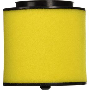 Honda 17254-HP0-A00 Air Filter